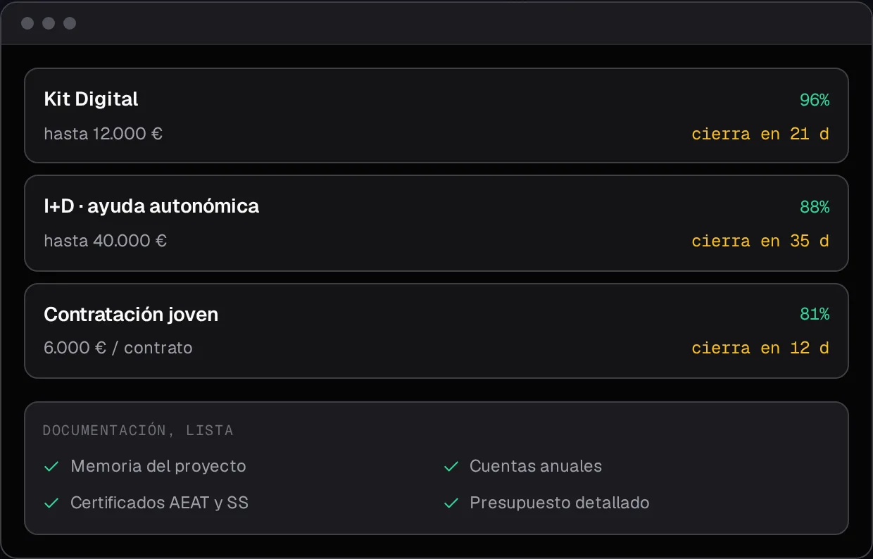 Captura de la demo de subvenciones: ayudas compatibles (Kit Digital, I+D autonómica, contratación joven) con encaje, importe y plazo, y la documentación lista